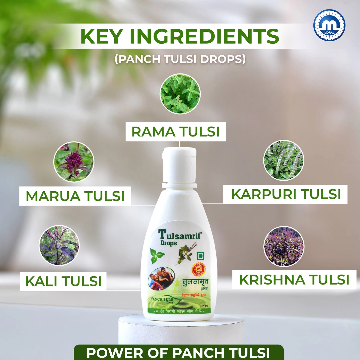 Tulsamrit Panch Tulsi Drops | Natural Tulsi Extract Drops | Supports Immunity, Respiratory Health & Daily Wellness | Pack of 2x20ml